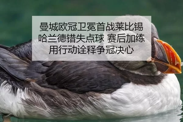 man-cheng-ou-guan-wei-mian-shou-zhan-lai-bi-xi-ha-lan-de-cuo-shi-dian-qiu-sai-hou-jia-lian-yong-xing-dong-quan-shi-2-455.jpg